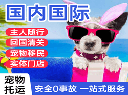 常德桃花源机场空运国际宠物托运 【国
